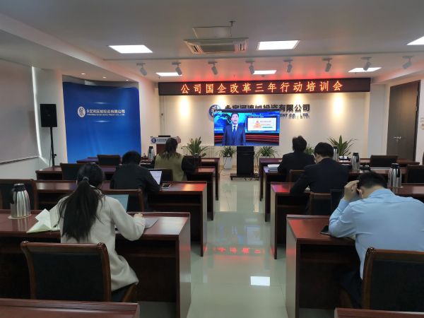 公司组织发展国企鼎新三年行动专题培训