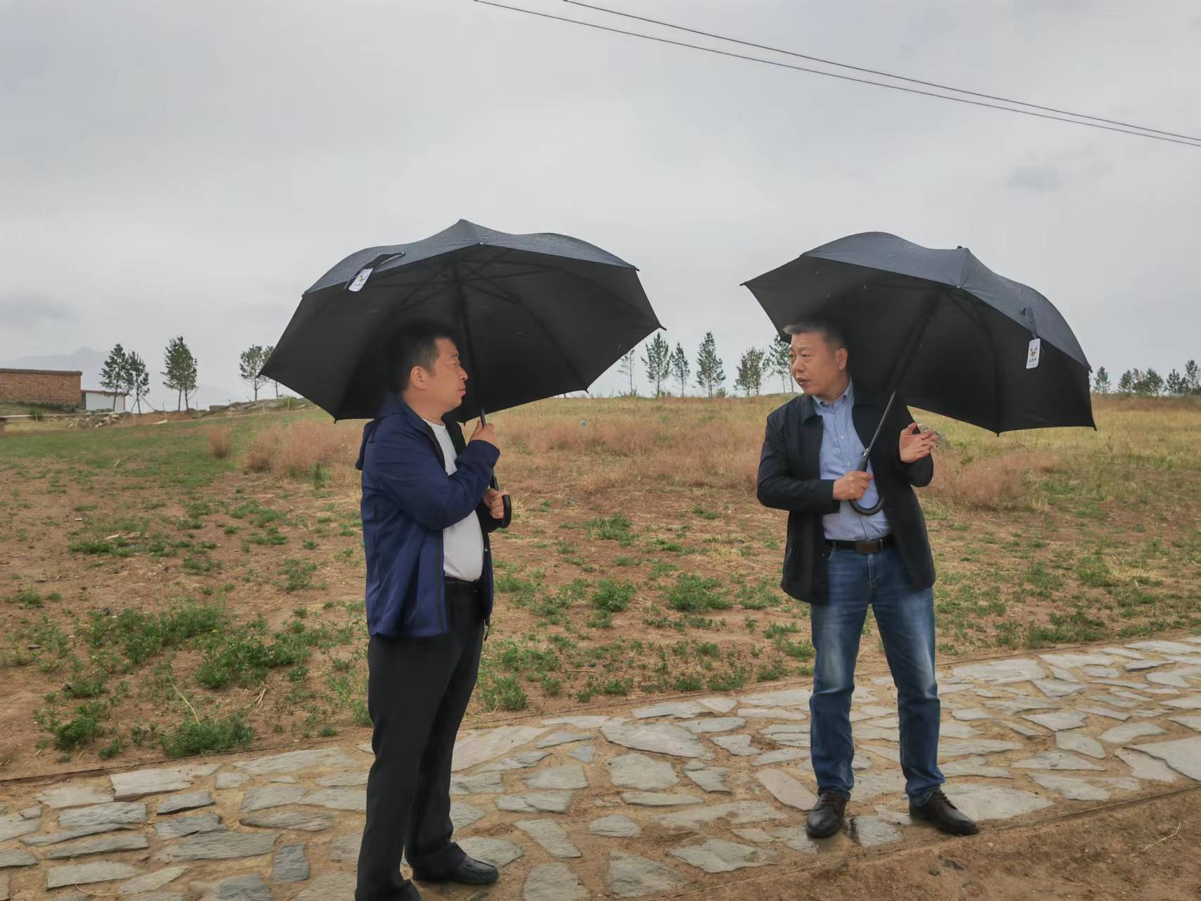 公司辅导赴各地发展示范性工程调研