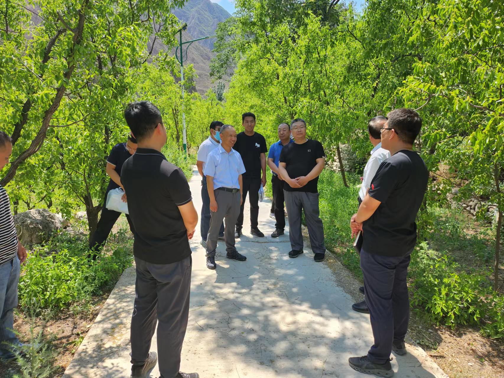 公司重要辅导一行赴麻将胡了2山峡段调研