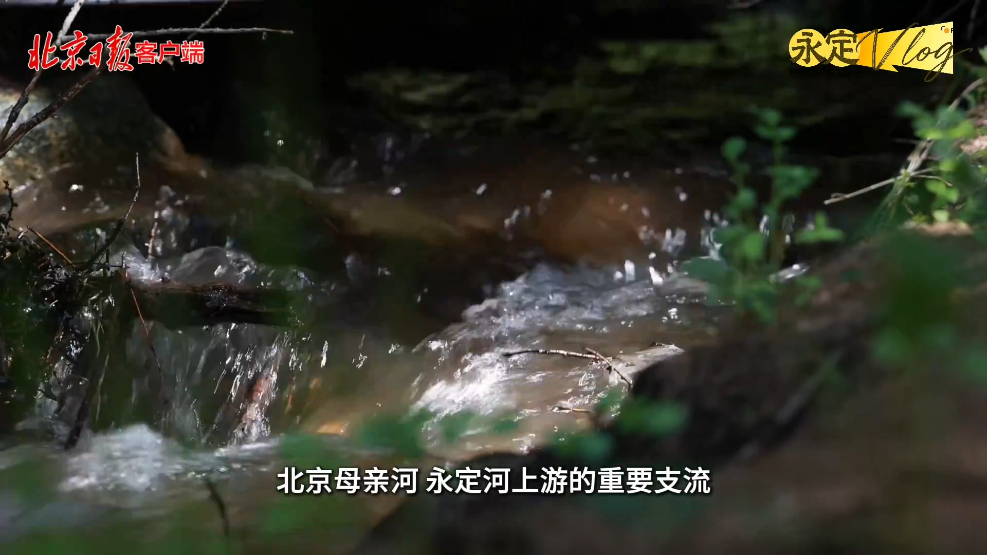 【千年永定】永定vlog｜麻将胡了2的“绿色引擎”，竟藏在内蒙古这座山里？
