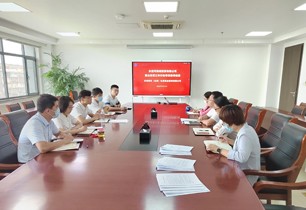 公司发展国企鼎新三年行动专项督导查抄