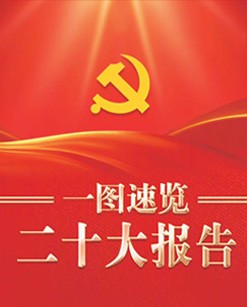 一图速览二十大汇报
