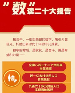 “数”读二十大汇报