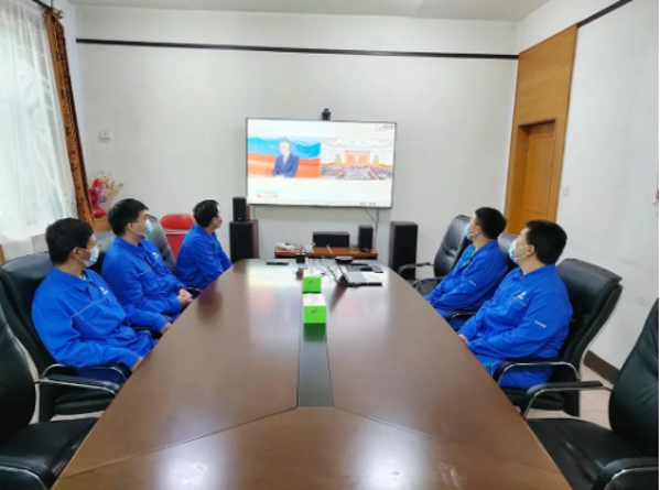 麻将胡了2投资公司组织旁观庆祝中国共产主义青年团成立100周年大会