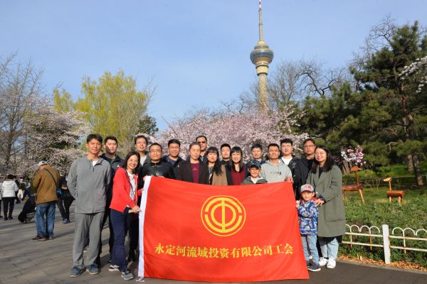 公司组织发展春游踏青活动
