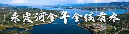 麻将胡了2整年全线有水