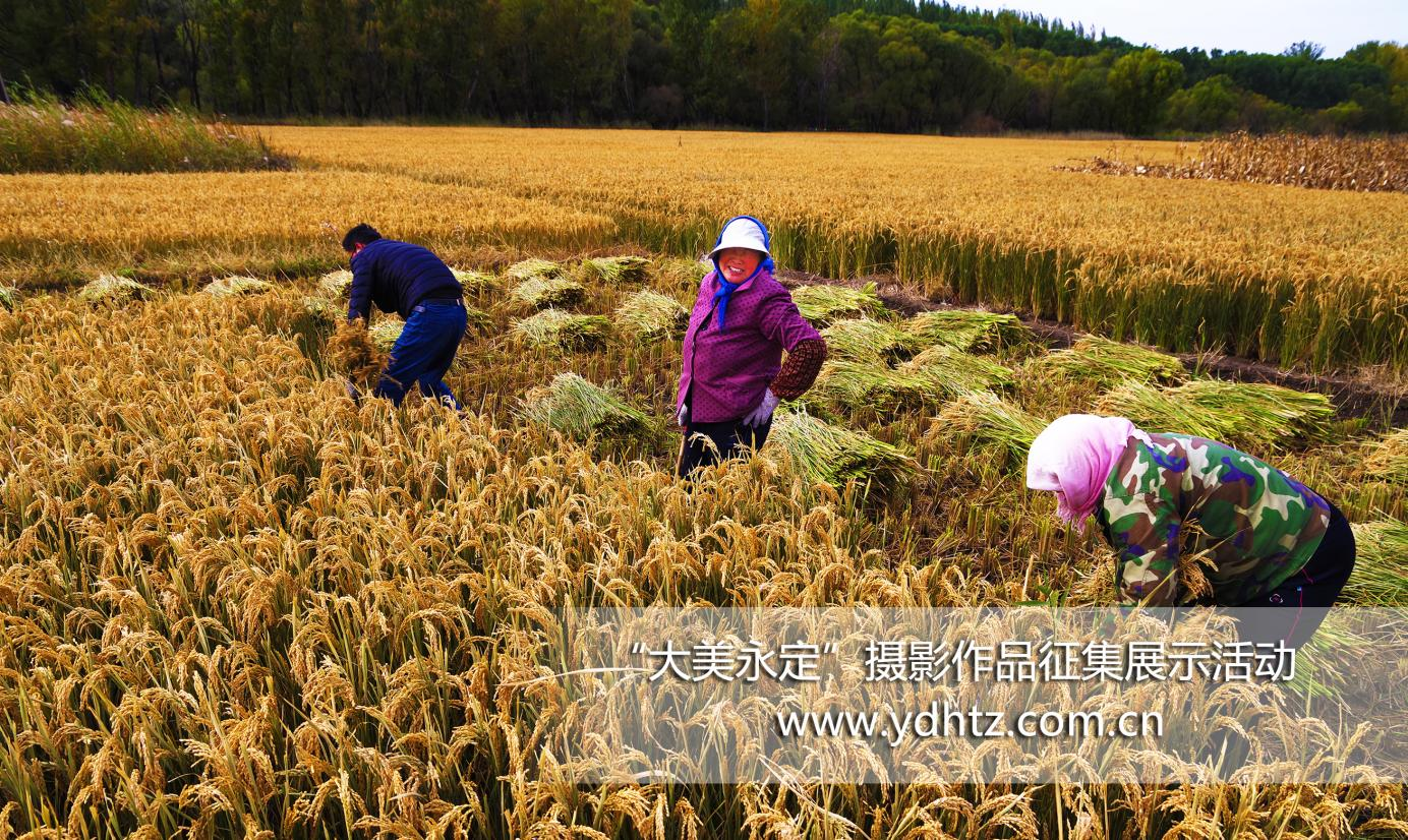 第三届“大美永定”摄影征集如火如荼第三批入围文章新鲜出炉